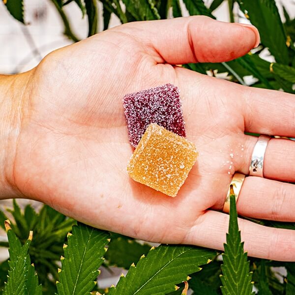 cannabis manufaturing companies cannabis manufaturing companies