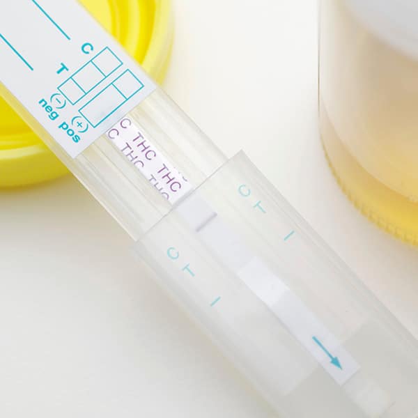 cannabis testing lab funding options cannabis testing lab funding options
