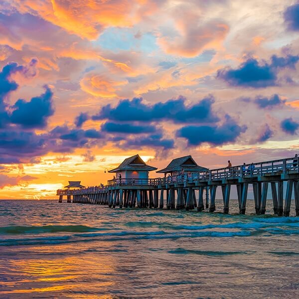 florida cannabis loan options florida cannabis loan options