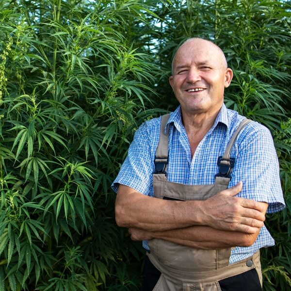 hemp farm financing options