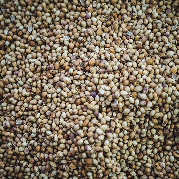 hemp loans hemp loans