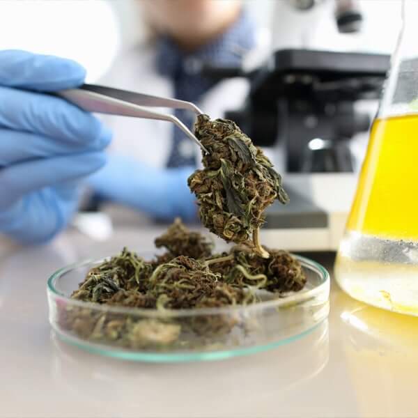 marijuana testing lab financing options marijuana testing lab financing options