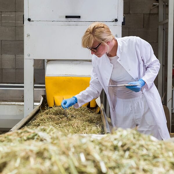 marijuana testing lab funding options marijuana testing lab funding options