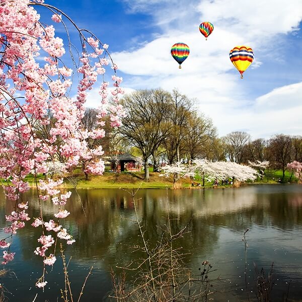 new jersey marijuana loan choices new jersey marijuana loan choices