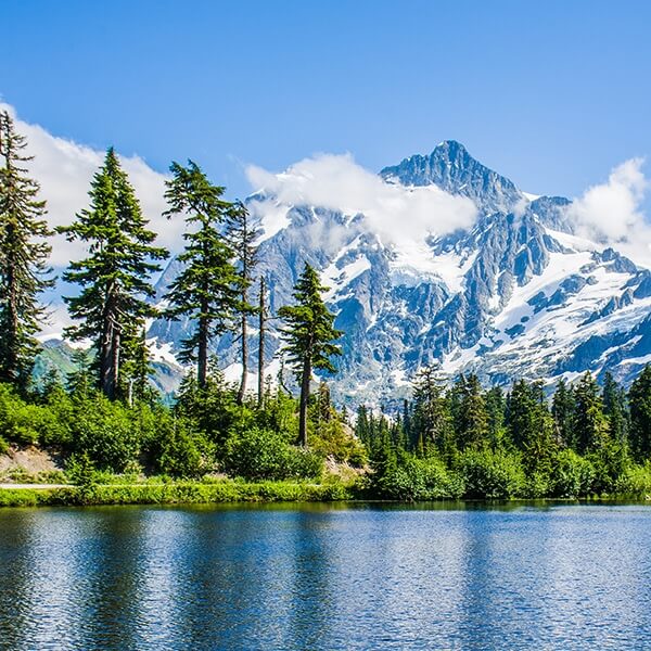 washington cannabis financing information washington cannabis financing information