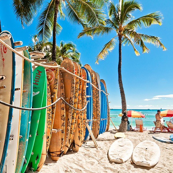 Hawaii cannabis business loan info Hawaii cannabis business loan info