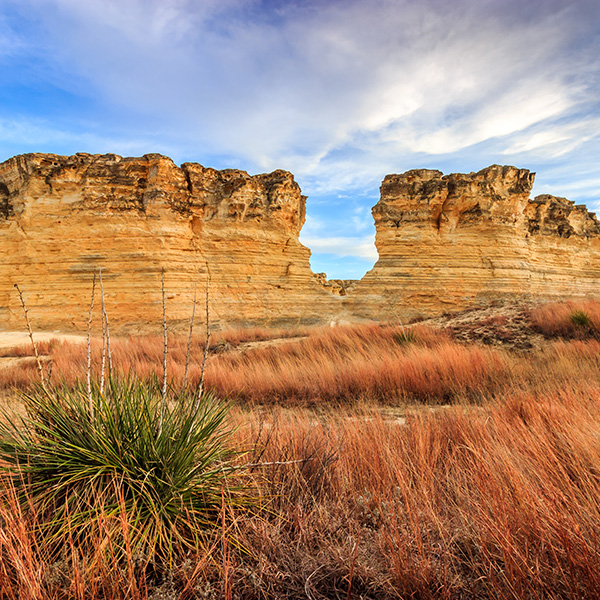 Kansas cannabis business loan information