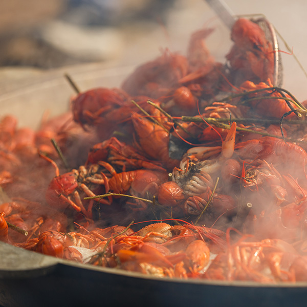 Louisiana cannabis business financing options Louisiana cannabis business financing options