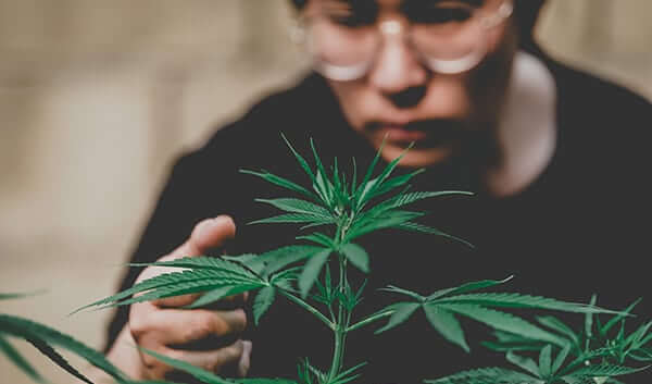 cannabis industry line of credit loans cannabis industry line of credit loans