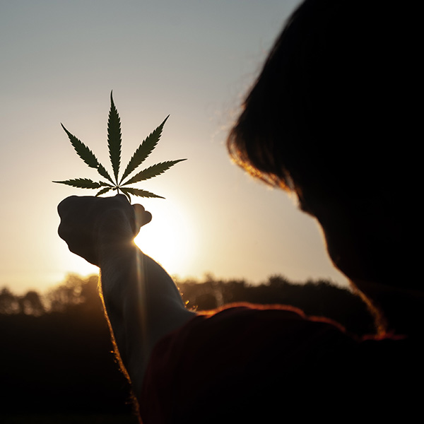 canna financing canna financing