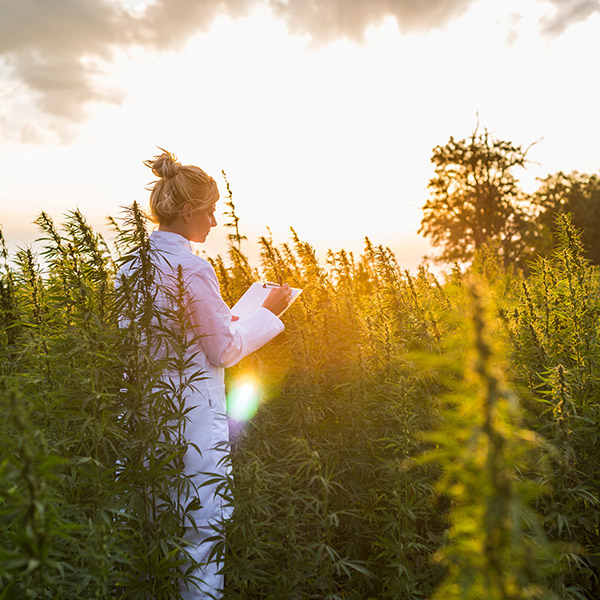 funding for cbd businesses funding for cbd businesses