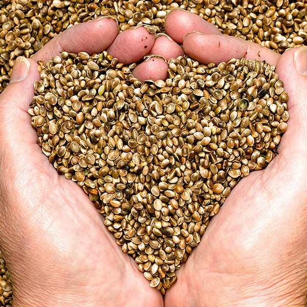 hemp business loan options hemp business loan options