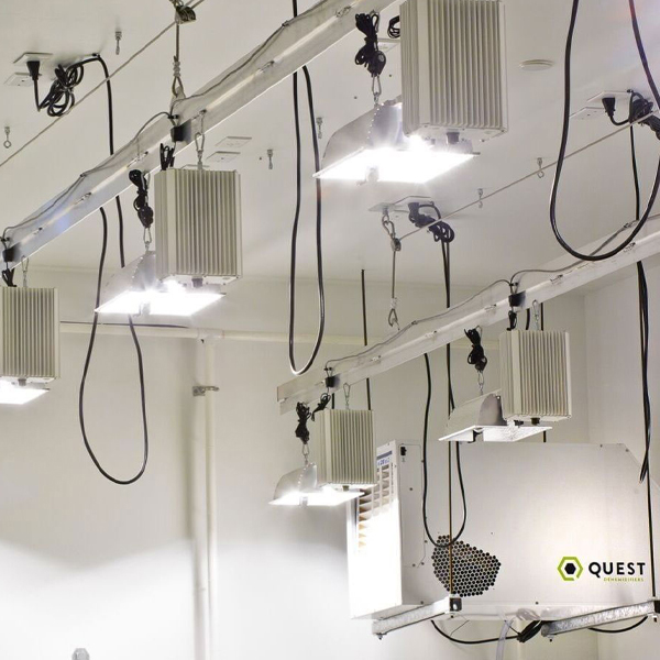 grow-light-company-loans grow-light-company-loans