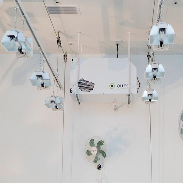 vendor financing for cannabis companies vendor financing for cannabis companies