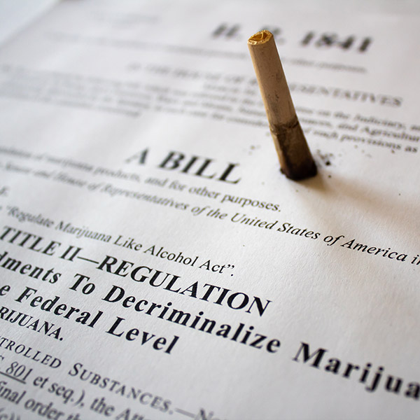 cannabis-in-congress cannabis-in-congress