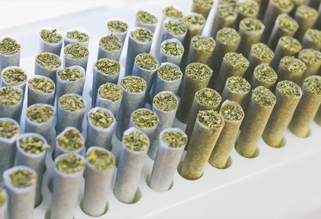 cannabis equipment cannabis equipment