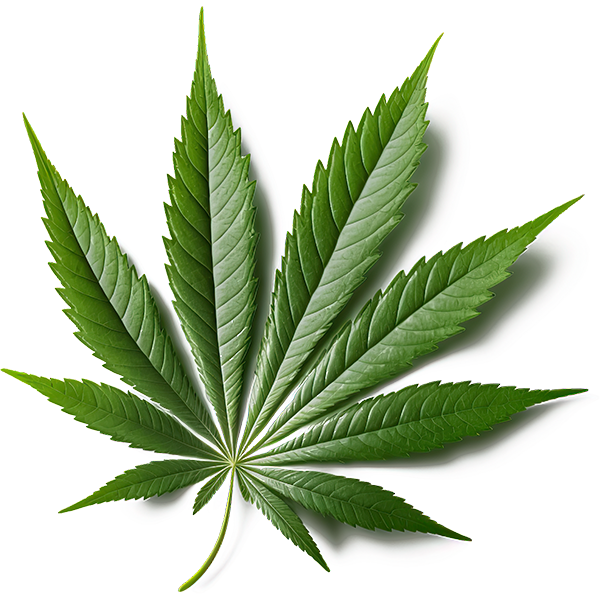 marijuana rescheduled from 1 to 3 marijuana rescheduled from 1 to 3