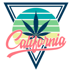 california cannabis california cannabis
