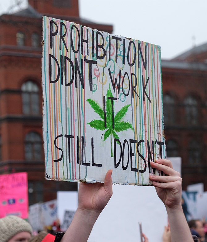conservatives need to legalize cannabis conservatives need to legalize cannabis