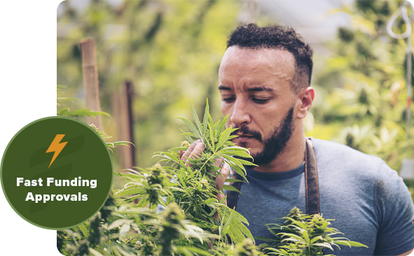 cannabis loans for cannabis businesses hp cannabis loans for cannabis businesses hp