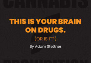 Cannabis Prohibition fundcanna Cannabis Prohibition fundcanna