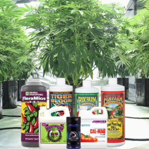 ancillary cannabis loans ancillary cannabis loans