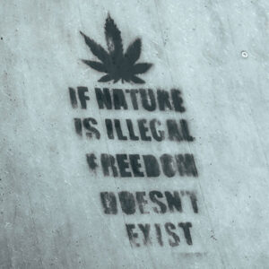 cannabis should be legal federally cannabis should be legal federally